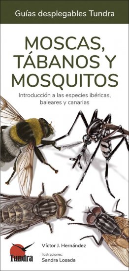 MOSCAS, TÁBANOS Y MOSQUITOS. INTRODUCCIÓN A LAS ESPECIES IBÉRICAS, BALEARES Y CANARIAS. GUÍAS DESPLEGABLES TUNDRA 1