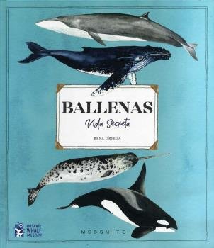 BALLENAS. VIDA SECRETA 1