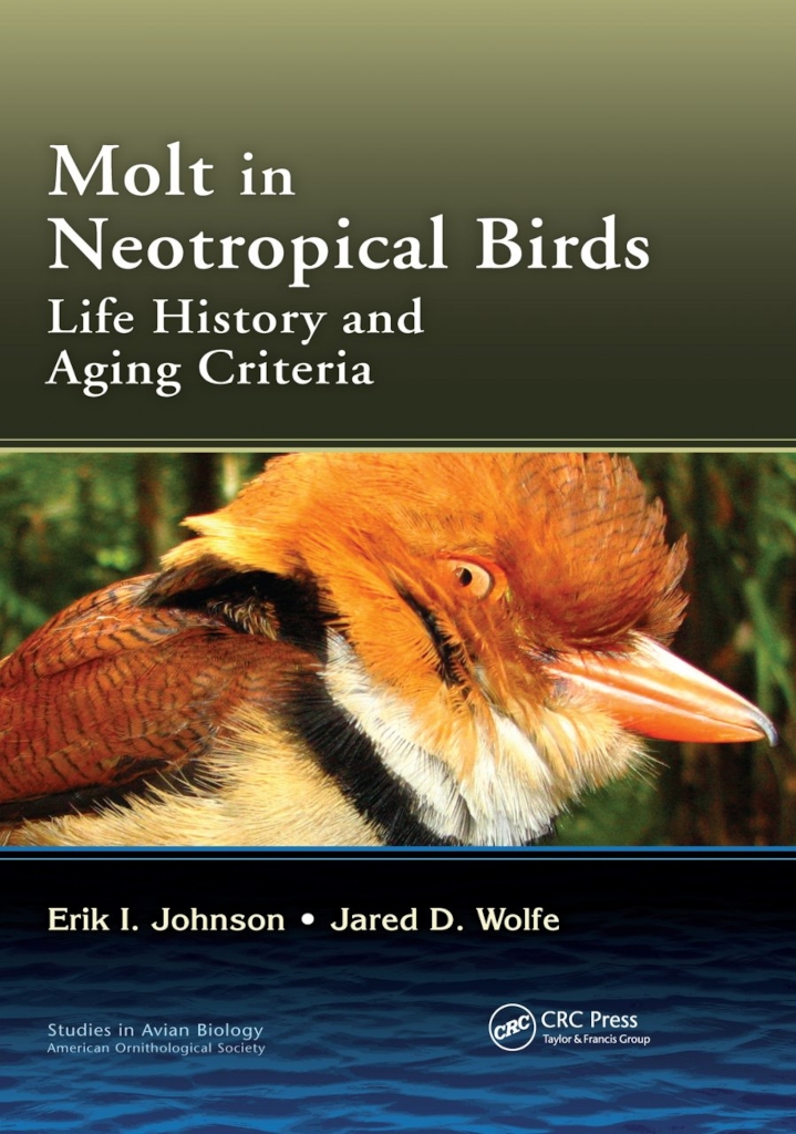 MOLT IN NEOTROPICAL BIRDS LIFE HISTORY AND AGEING CRITERIA 1