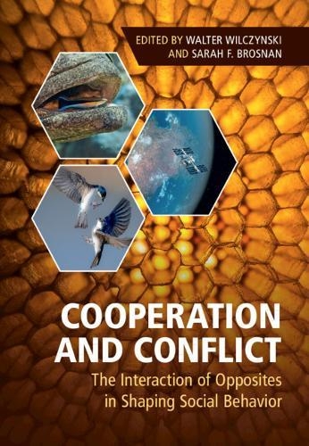 COOPERATION AND CONFLICT. THE INTERACTION OF OPPOSITES IN SHAPING SOCIAL BEHAVIOR 1