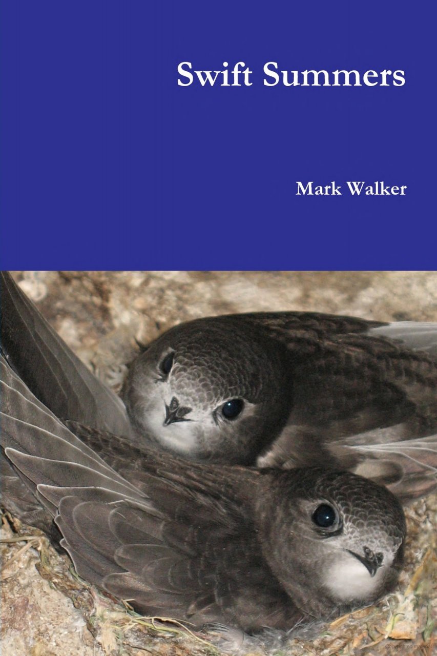 SWIFT SUMMERS 1