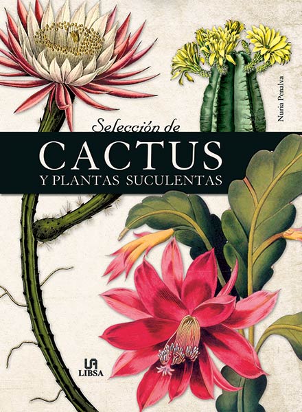 SELECCIÓN DE CACTUS Y PLANTAS SUCULENTAS 1