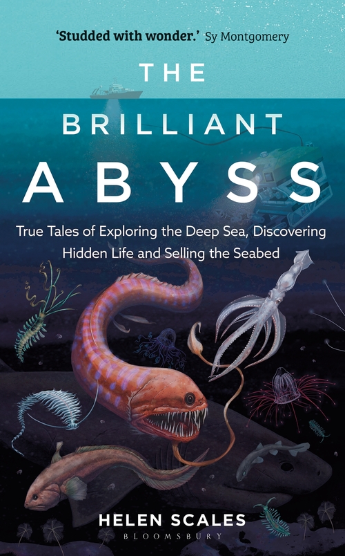 THE BRILLANT ABYSS 1