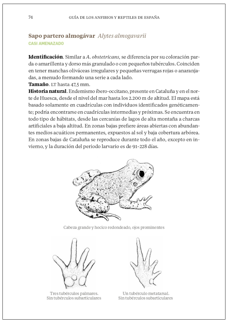 GUÍA DE LOS ANFIBIOS Y REPTILES DE ESPAÑA 3