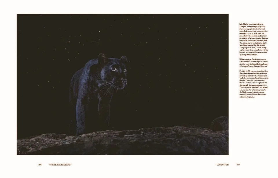 THE BLACK LEOPARD: MY QUEST TO PHOTOGRAPH ONE OF AFRICA'S MOST ELUSIVE BIG CATS 3