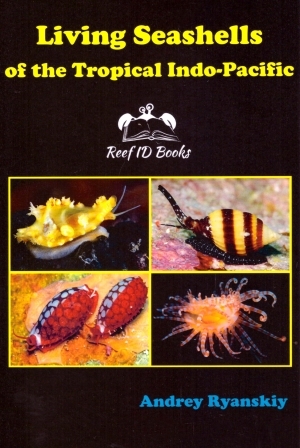 LIVING SEASHELLS OF THE TROPICAL INDO-PACIFIC. REEF ID BOOKS 1