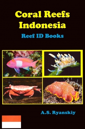 CORAL REEFS INDONESIA. REEF ID BOOKS 1