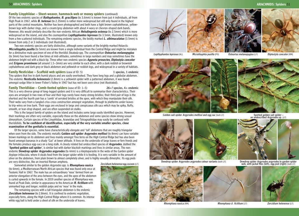 TERRESTRIAL AND FRESHWATER INVERTEBRATES OF ST. HELENA 2