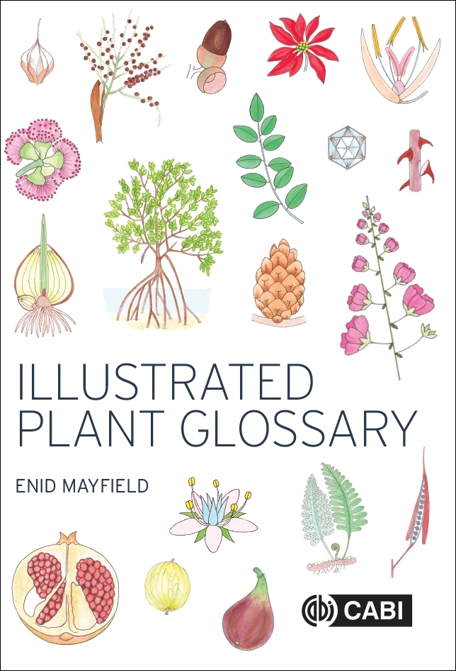 ILLUSTRATED PLANT GLOSSARY 1