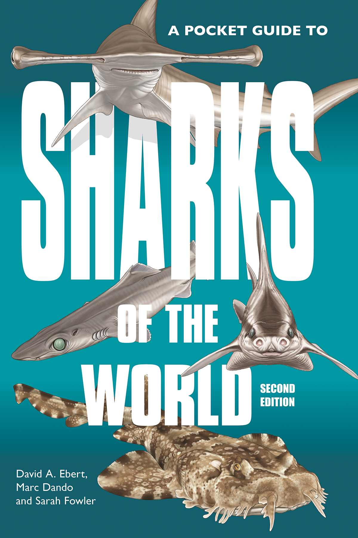 A POCKET GUIDE TO SHARKS OF THE WORLD 1