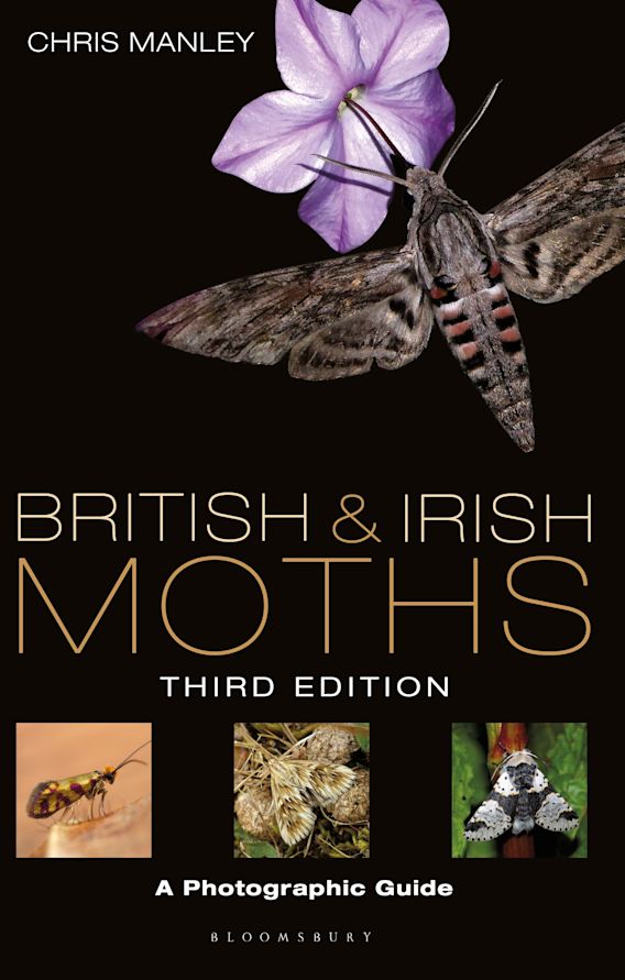 BRITISH &AMP; IRISH MOTHS. A PHOTOGRAPHIC GUIDE 1