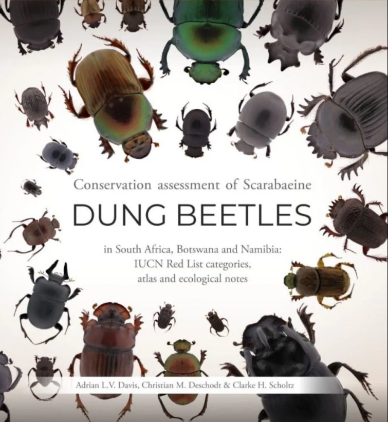 CONSERVATION ASSESSMENT OF SCARABAEINE DUNG BEETLES IN SOUTH AFRICA, BOTSWANA AND NAMIBIA 1