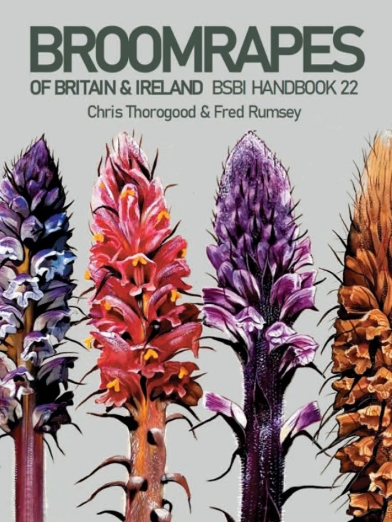 BROOMRAPES OF BRITAIN &AMP; IRELAND 1