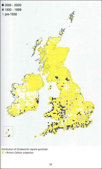 BROOMRAPES OF BRITAIN &AMP; IRELAND 3