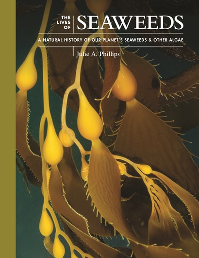 THE LIVES OF SEAWEEDS: A NATURAL HISTORY OF OUR PLANET'S SEAWEEDS AND OTHER ALGAE 1
