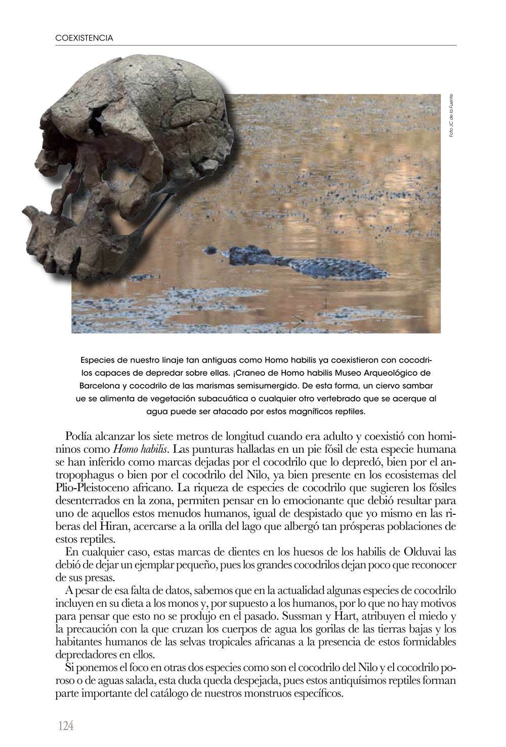 COEXISTENCIA. UN VIAJE POR LAS RELACIONES ENTRE CARNÍVOROS Y HUMANOS 3