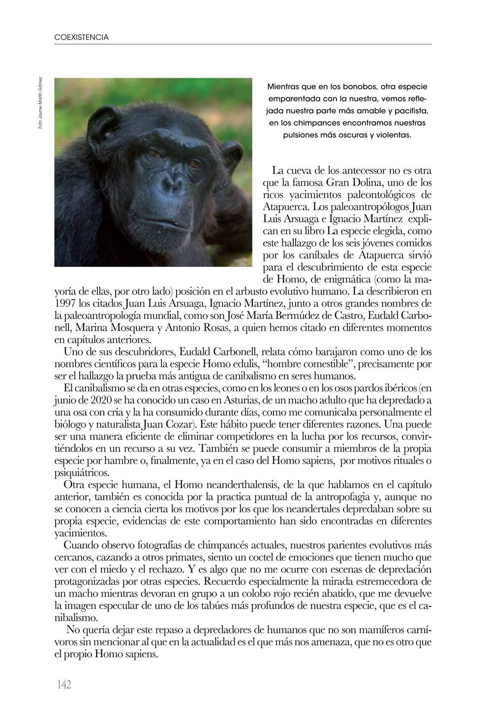 COEXISTENCIA. UN VIAJE POR LAS RELACIONES ENTRE CARNÍVOROS Y HUMANOS 5