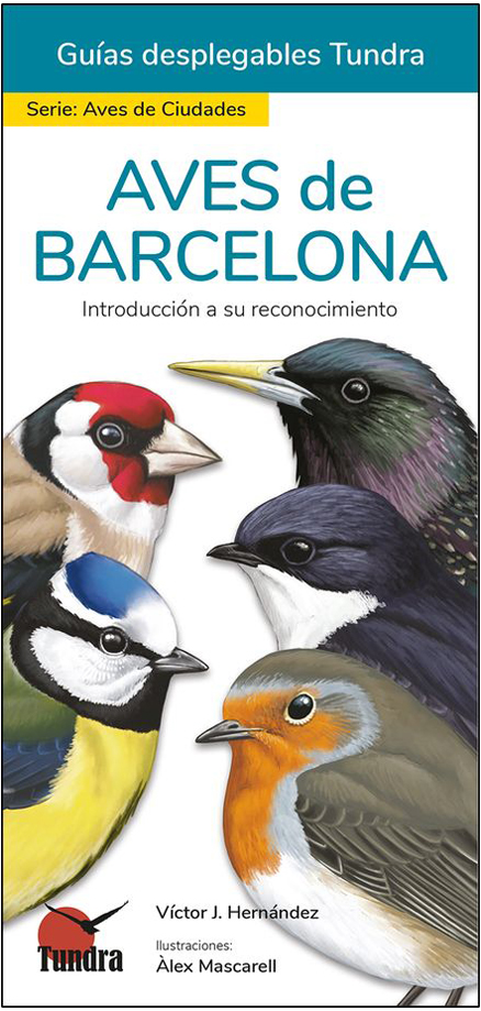 AVES DE BARCELONA. INTRODUCCIÓN A SU RECONOCIMIENTO. GUÍAS DESPLEGABLES TUNDRA 1