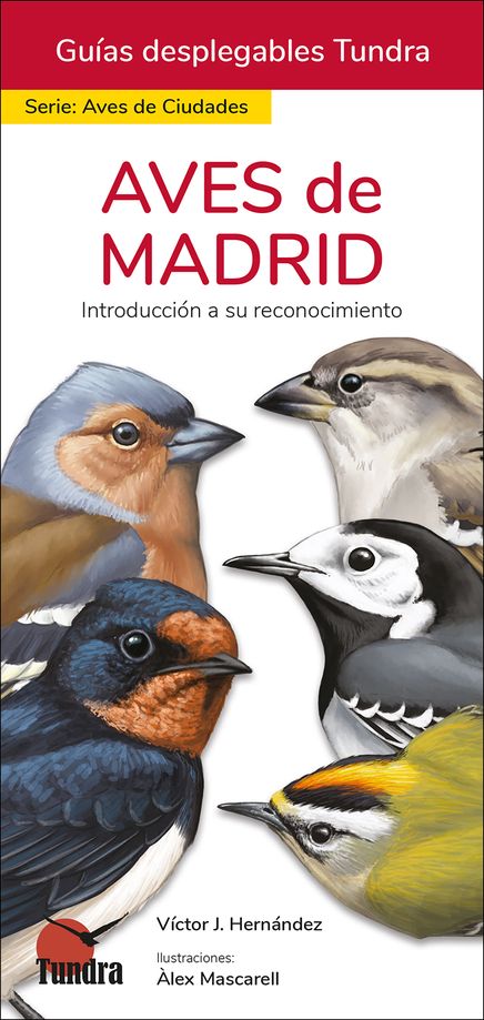 AVES DE MADRID. INTRODUCCIÓN A SU RECONOCIMIENTO. GUÍAS DESPLEGABLES TUNDRA 1