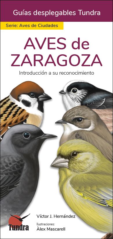 AVES DE ZARAGOZA. INTRODUCCIÓN A SU RECONOCIMIENTO. GUÍAS DESPLEGABLES TUNDRA 1