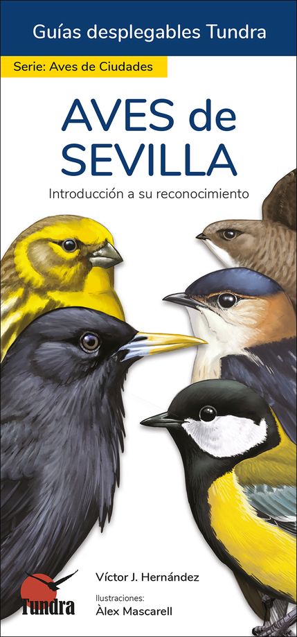 AVES DE SEVILLA. INTRODUCCIÓN A SU RECONOCIMIENTO. GUÍAS DESPLEGABLES TUNDRA 1