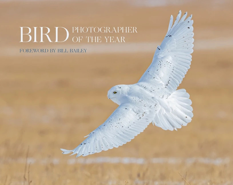 BIRD PHOTOGRAPHER OF THE YEAR. COLLECTION 6 1