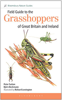 FIELD GUIDE TO THE GRASSHOPPERS OF GREAT BRITAIN AND IRELAND 1
