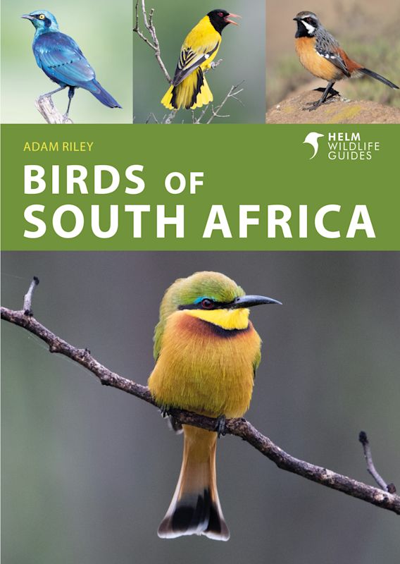 HELM WILDLIFE GUIDES. BIRDS OF SOUTH AFRICA 1