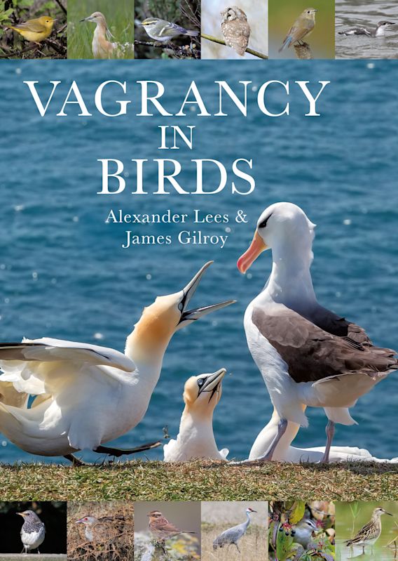VAGRANCY IN BIRDS 1