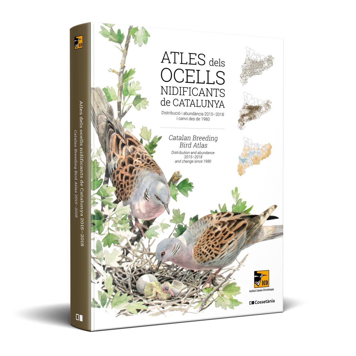 ATLES DELS OCELLS NIDIFICANTS DE CATALUNYA. DISTRIBUCIÓ I ABUNDÀNCIA 2015-2018 I CANVI DES DE 1980 / CATALAN BREEDING BIRD ATLAS. DISTRIBUTION AND ABU 1