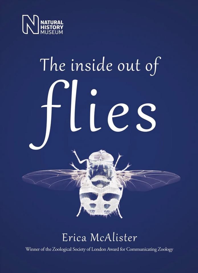 THE INSIDE OUT OF FLIES 1
