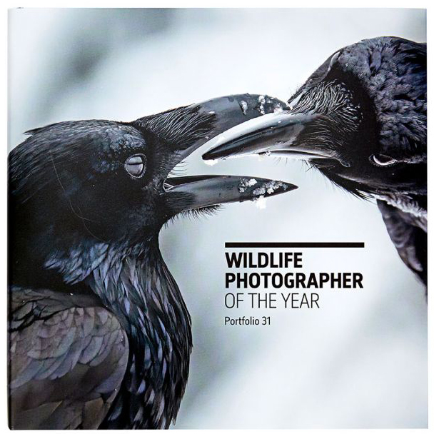 WILDLIFE PHOTOGRAPHER OF THE YEAR. PORTFOLIO 31 1