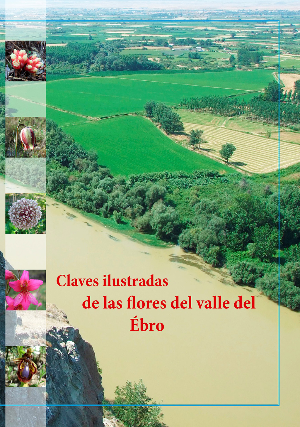 CLAVES ILUSTRADAS DE LAS FLORES DEL VALLE DEL EBRO 1