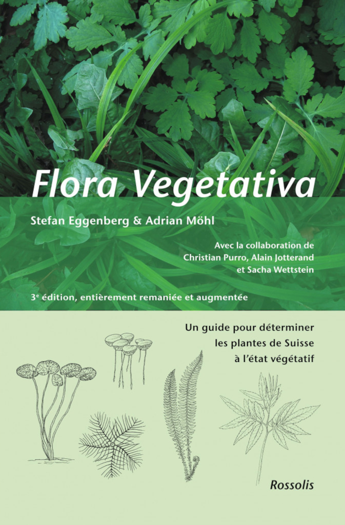 FLORA VEGETATIVA 1