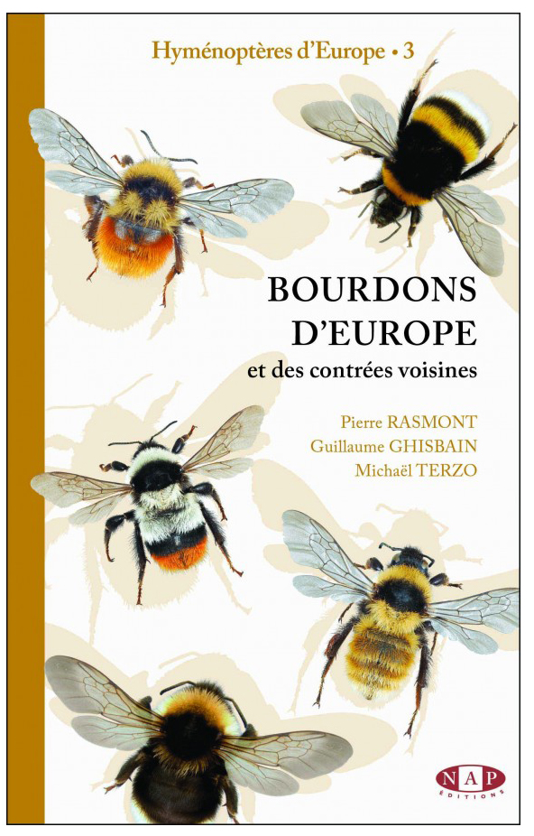 BOURDONS D'EUROPE ET DES CONTRÉES VOISINES - HYMÉNOPTÈRES D'EUROPE 3 1