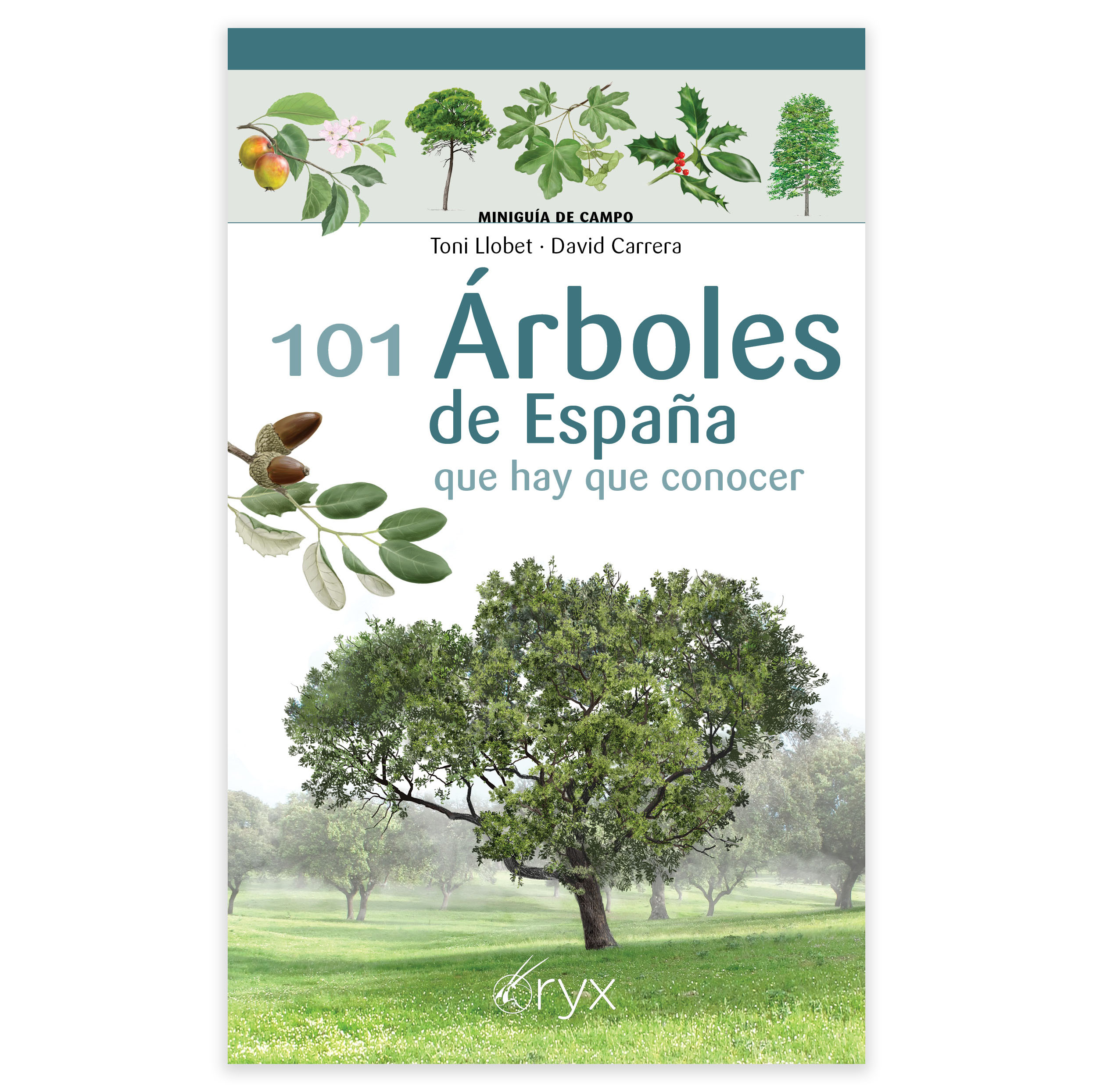 101 ÁRBOLES DE ESPAÑA QUE HAY QUE CONOCER. MINGUÍA DE CAMPO 1