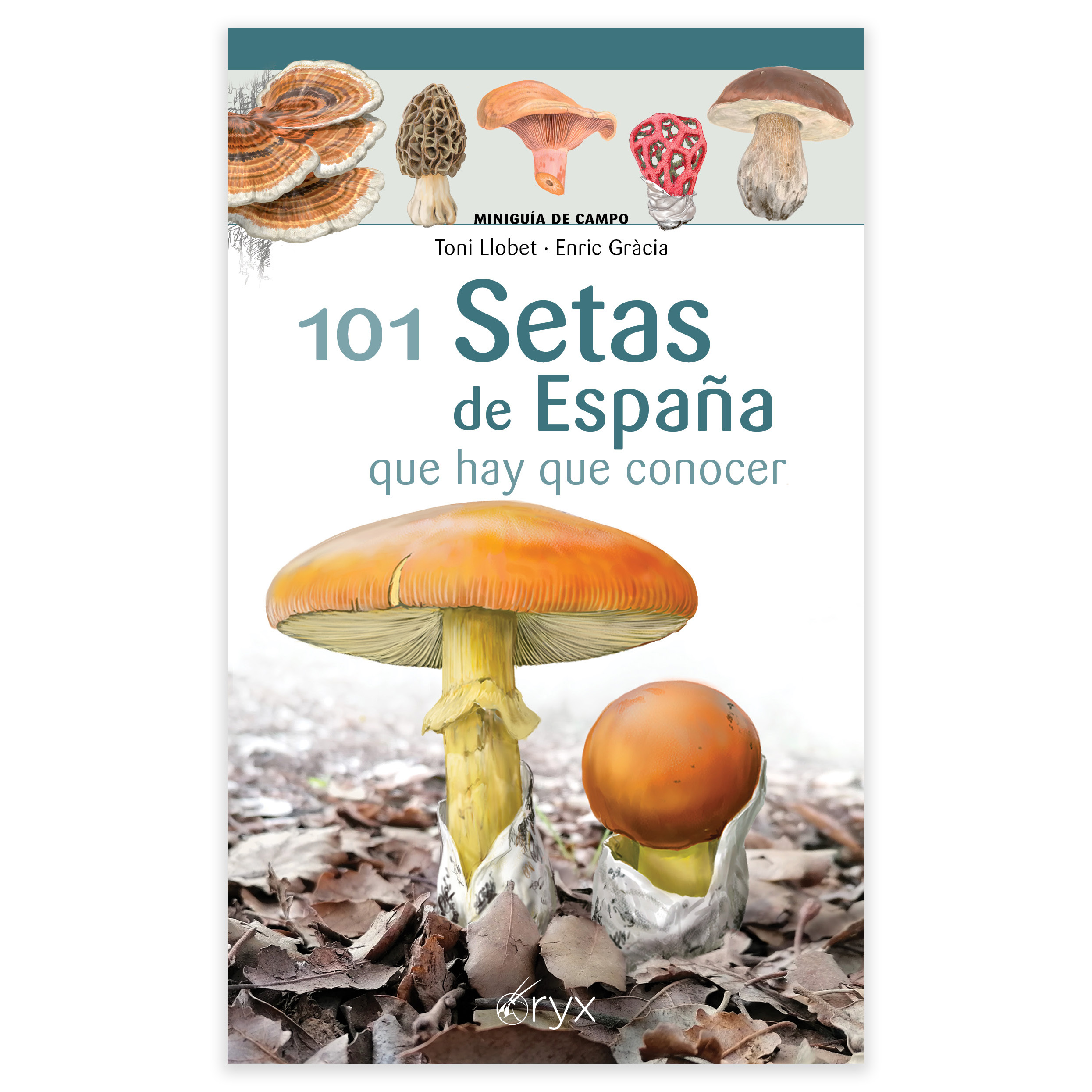 101 SETAS DE ESPAÑA QUE HAY QUE CONOCER. MINIGUÍA DE CAMPO 1