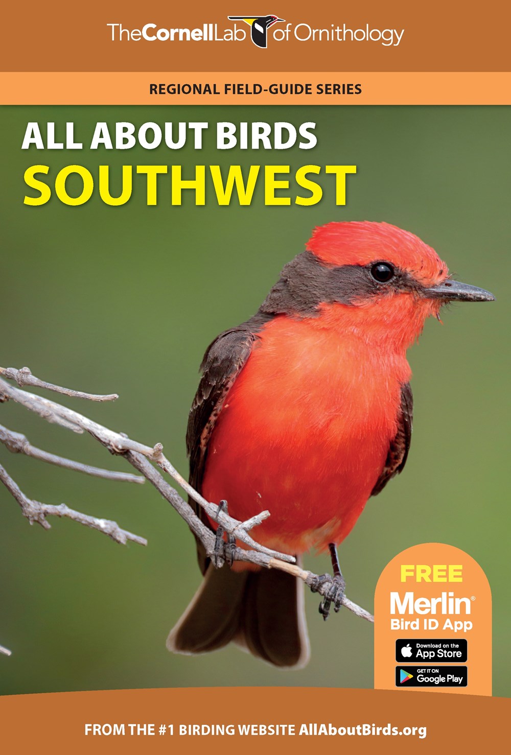 THE CORNELL LAB OF ORNITHOLOGY. REGIONAL FIELD GUIDE SERIES. ALL ABOUT BIRDS SOUTHWEST 1
