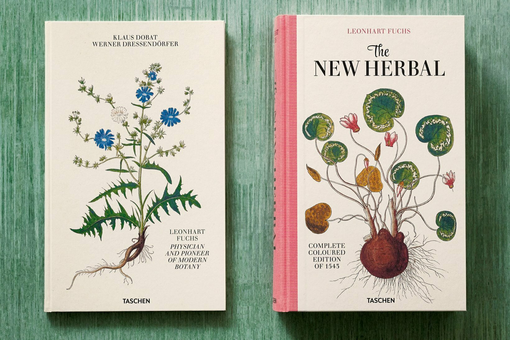 LEONHART FUCHS. THE NEW HERBAL 1