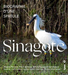 SINAGOTE. BIOGRAPHIE D'UNE SPATULE 1