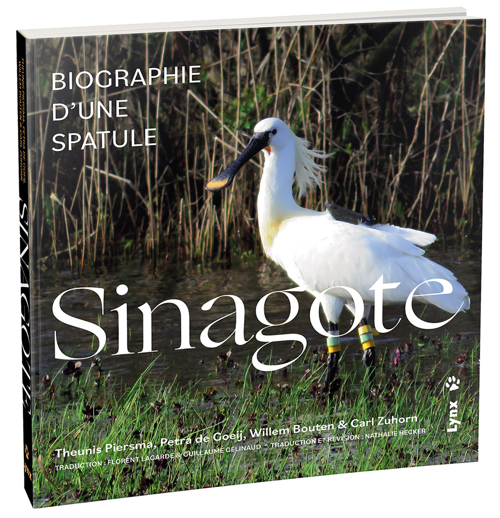 SINAGOTE. BIOGRAPHIE D'UNE SPATULE 4