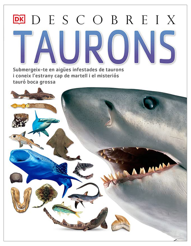 DESCOBREIX TAURONS 1