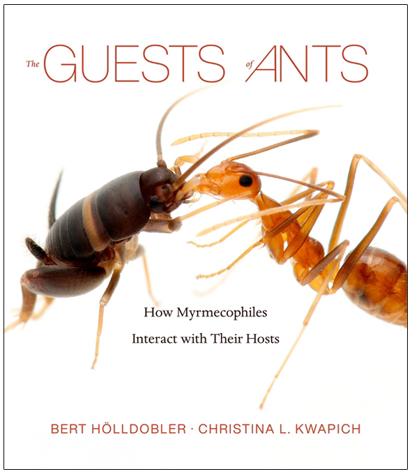 THE GUESTS OF ANTS. HOW MYRMECOPHILES INTERACT WITH THEIR HOSTS 1