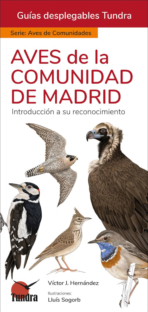 AVES DE LA COMUNIDAD DE MADRID. INTRODUCCIÓN A LAS ESPECIES MÁS FRECUENTES. GUÍAS DESPLEGABLES TUNDRA 1