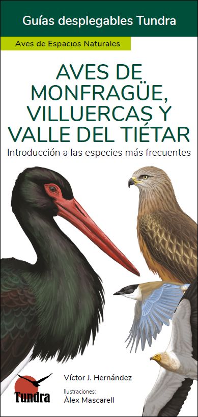 AVES DE MONFRAGÜE, VILLUERCAS Y VALLE DEL TIÉTAR. INTRODUCCIÓN A LAS ESPECIES MÁS FRECUENTES. GUÍAS DESPLEGABLES TUNDRA 1