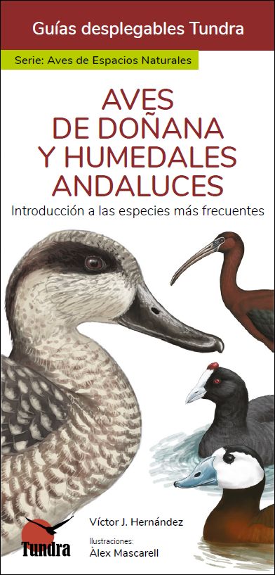 AVES DE DOÑANA Y HUMEDALES ANDALUCES. INTRODUCCIÓN A LAS ESPECIES MÁS FRECUENTES. GUÍAS DESPLEGABLES TUNDRA 1