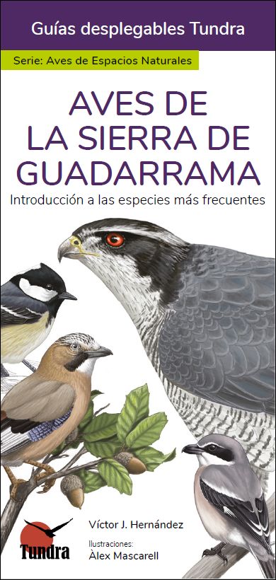 AVES DE LA SIERRA DE GUADARRAMA. INTRODUCCIÓN A LAS ESPECIES MÁS FRECUENTES. GUÍAS DESPLEGABLES TUNDRA 1