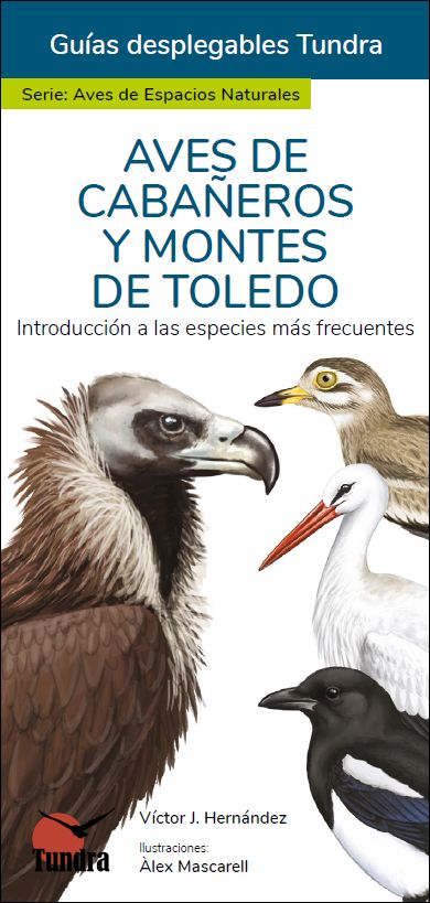 AVES DE CABAÑEROS Y MONTES DE TOLEDO. INTRODUCCIÓN A LAS ESPECIES MÁS FRECUENTES. GUÍAS DESPLEGABLES TUNDRA 1