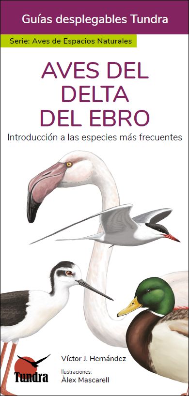 AVES DEL DELTA DEL EBRO. INTRODUCCIÓN A LAS ESPECIES MÁS FRECUENTES. GUÍAS DESPLEGABLES TUNDRA 1