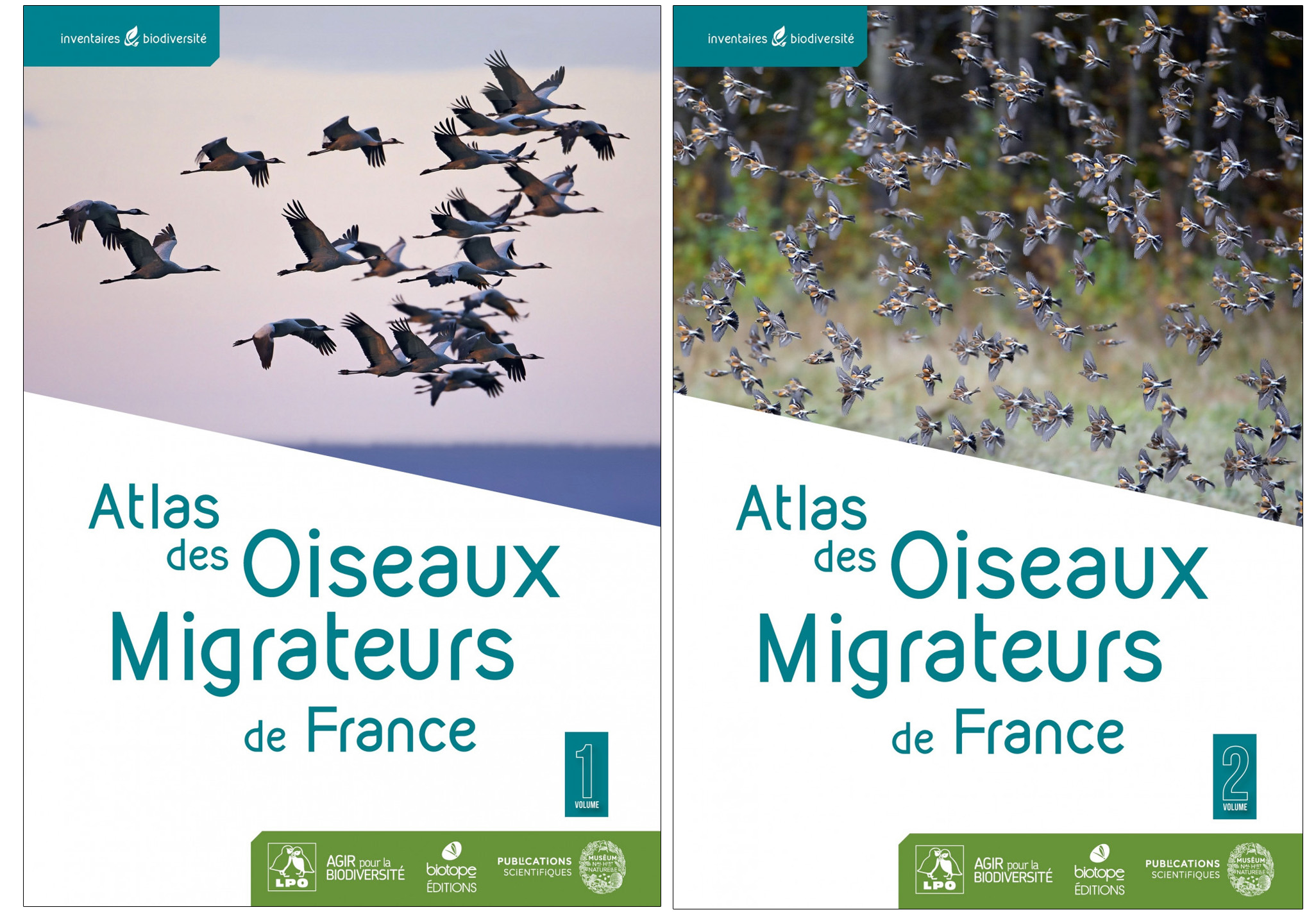 ATLAS DES OISEAUX MIGRATEURS DE FRANCE 2 VOLUMES 1